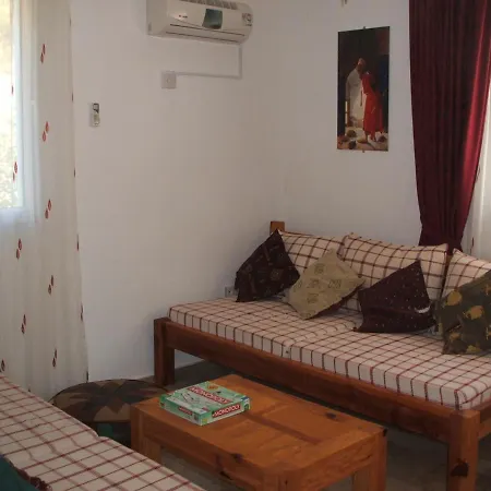 Vila Kadyanda With Private Pool And Games Beykoyu